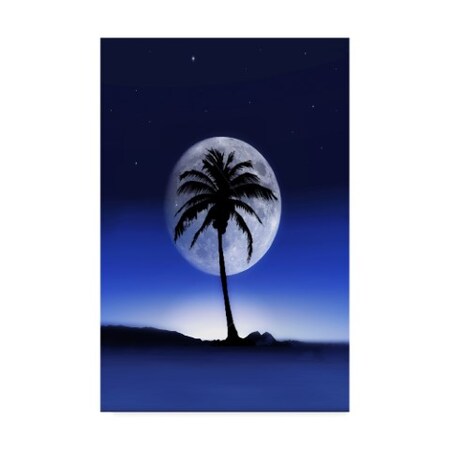 Ata Alishahi 'Big Moon Night' Canvas Art,22x32